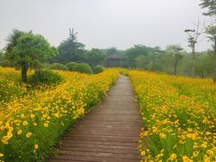 -南湖湿地公园