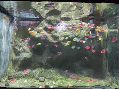 -苏州海洋馆