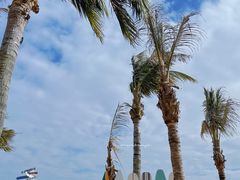 -玫瑰海岸文化旅游度假区