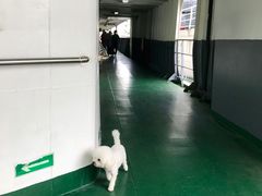 -海安新港(公交站)