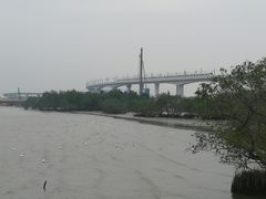 -宝安西湾红树林湿地公园