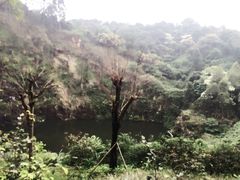 -火炉山森林公园