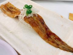 -元气寿司(金光华店)