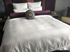 -南京禄口机场雅高铂尔曼大酒店