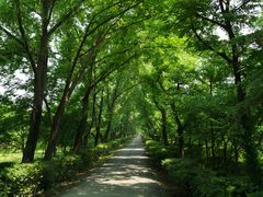 -西部兰花园生态园