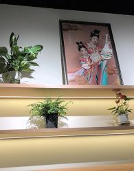 -七色田儿童摄影(静安店)