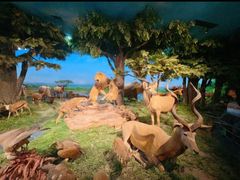 -国家自然博物馆