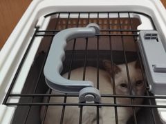 -联合动物医院(光谷诊疗中心)