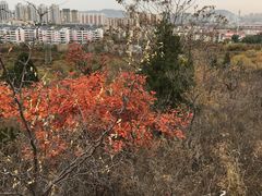 -府君山公园