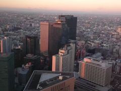 -东京都厅舍