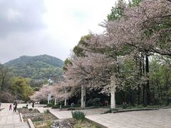 -杭州少年儿童公园