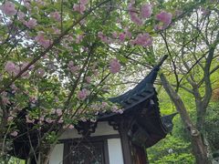 -上海佘山国家森林公园西佘山园