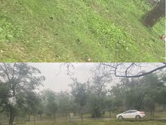 -秦皇岛野生动物园