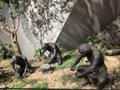 -北京周口店北京人遗址博物馆