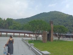 -九龙湖公园