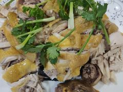 姜汁白切鸡-洪霞餐馆