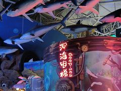 -烟台海昌鲸鲨海洋公园