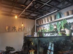 -青木造型HAIR·あおき髪を刈る潮人店