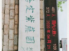 -嘉定紫藤园