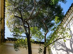 -乌镇东栅景区-茅盾故居