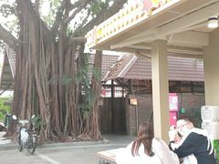 -广州长隆国际大马戏