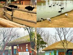 -祥源·阜阳生态乐园