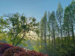 -扬州瘦西湖汇金酒店