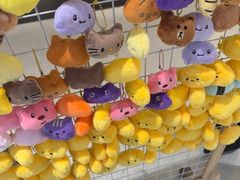 -一绪に和牛寿喜烧(罗湖益田假日店)