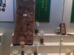 -广东中医药博物馆