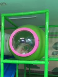 -汤姆小鸟(无锡宝龙广场店)