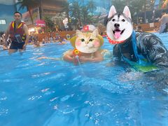 -青岛东方影都融创水世界