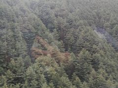 -苍山感通索道