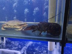 -启东小海鲜(庄先湾路1号店)