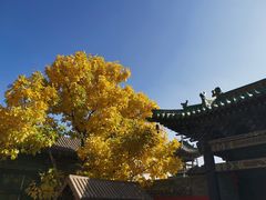 -纯阳宫(大同古城)