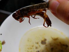 -老保定驴肉馆(云岗路店)