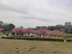 -同济大学(嘉定校区)