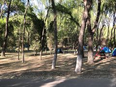 -森林公园(尖草坪区)