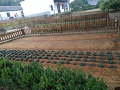 -陶祖圣境风景区