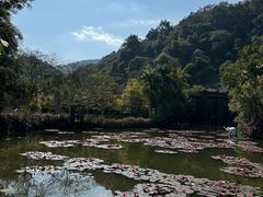 -野象谷景区