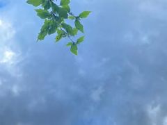 -烤鸭肉夹馍鸭汤店