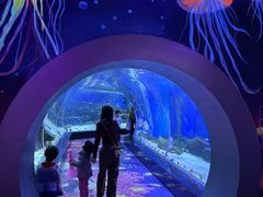 -顺德南宏海立方海洋公园