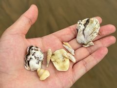 -宁波松兰山滨海旅游度假区