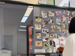 -爱妮康宠物医院·干细胞免疫细胞·肿瘤·心脏(张江店)