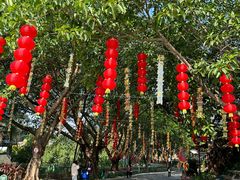 -光明农场大观园