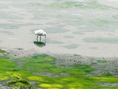 -龙舟池