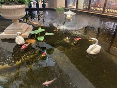 -广州白天鹅宾馆
