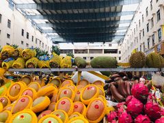 -三亚新鸿港水果一级批发市场