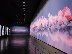 -罗红摄影艺术馆