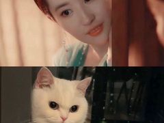 -TSK齿科德申会口腔门诊·联洋诊所