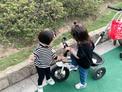 -苏州河梦清园环保主题公园